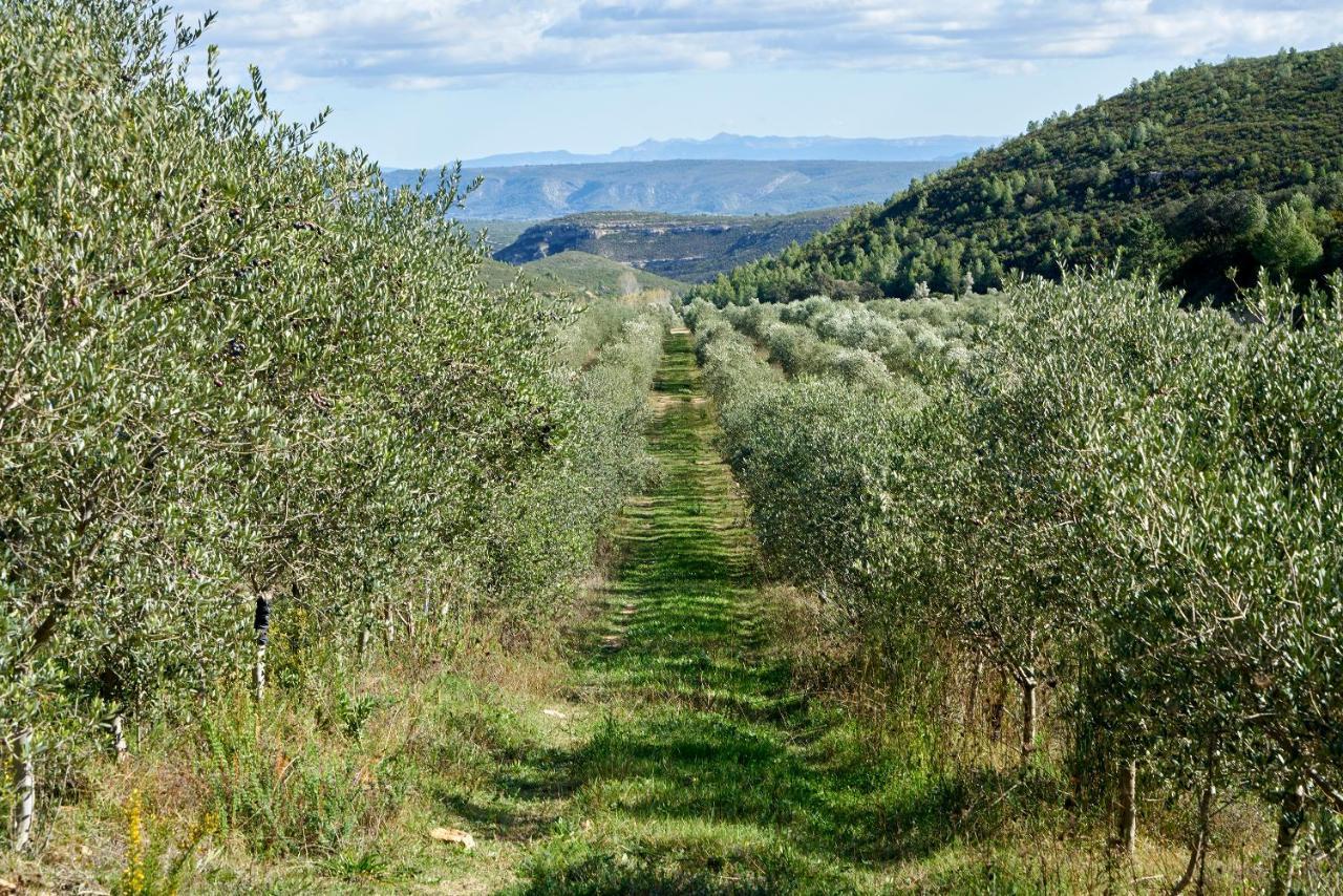 Finca Heredad La Boquilla 엔구에라 외부 사진