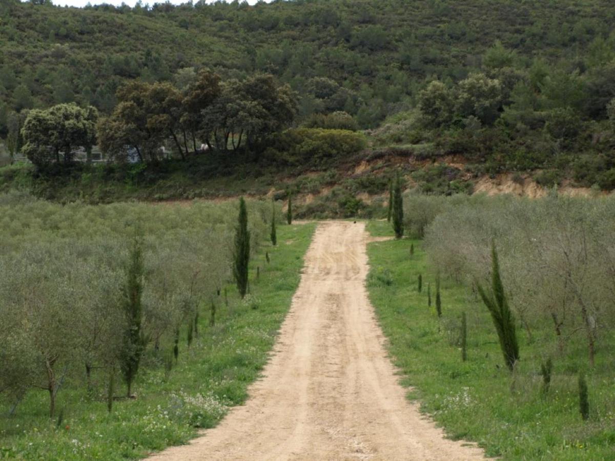 Finca Heredad La Boquilla 엔구에라 외부 사진