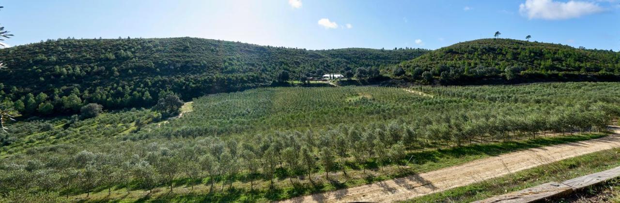 Finca Heredad La Boquilla 엔구에라 외부 사진