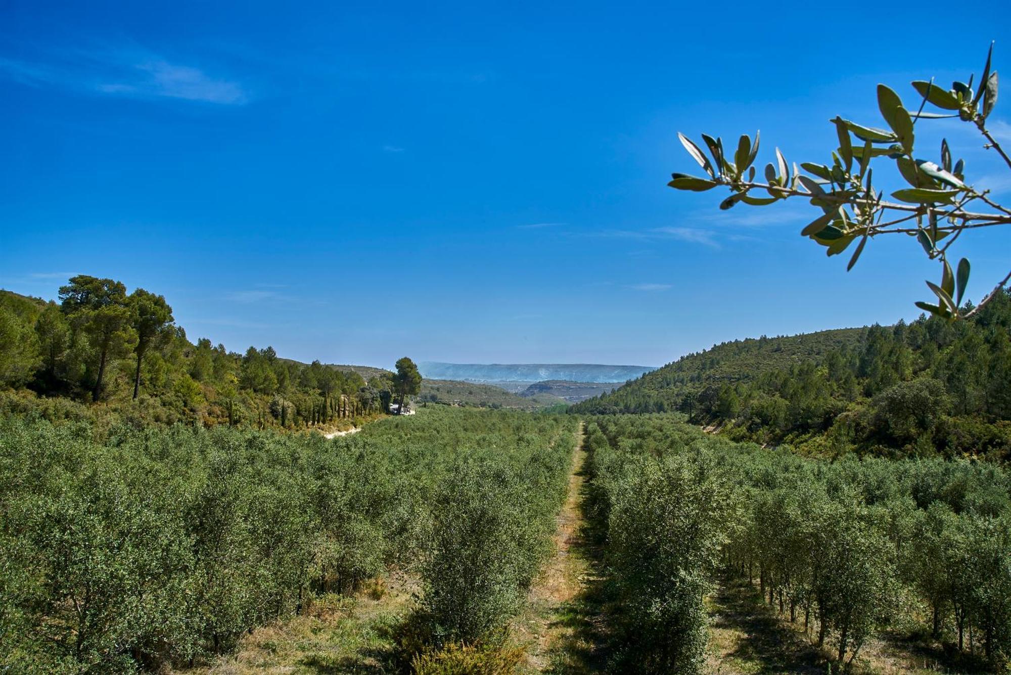 Finca Heredad La Boquilla 엔구에라 외부 사진