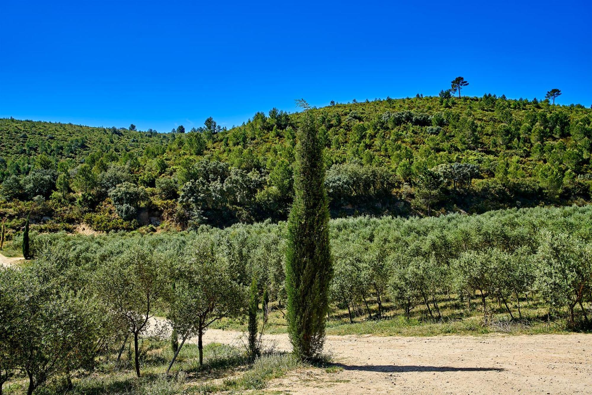 Finca Heredad La Boquilla 엔구에라 외부 사진